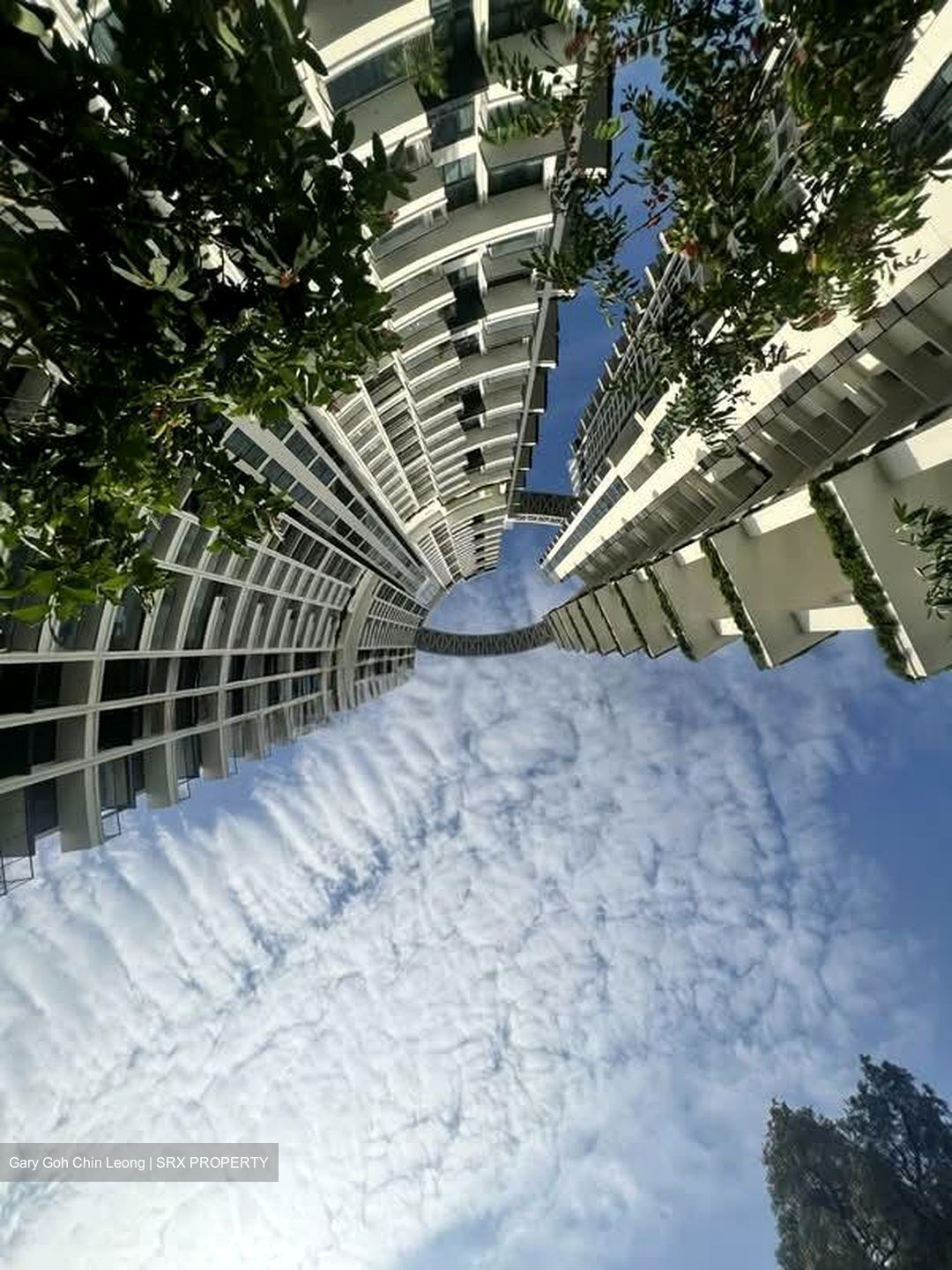 One Pearl Bank (D3), Apartment #559177811
